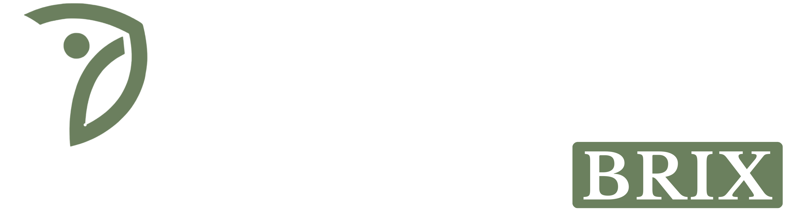 footer-logo